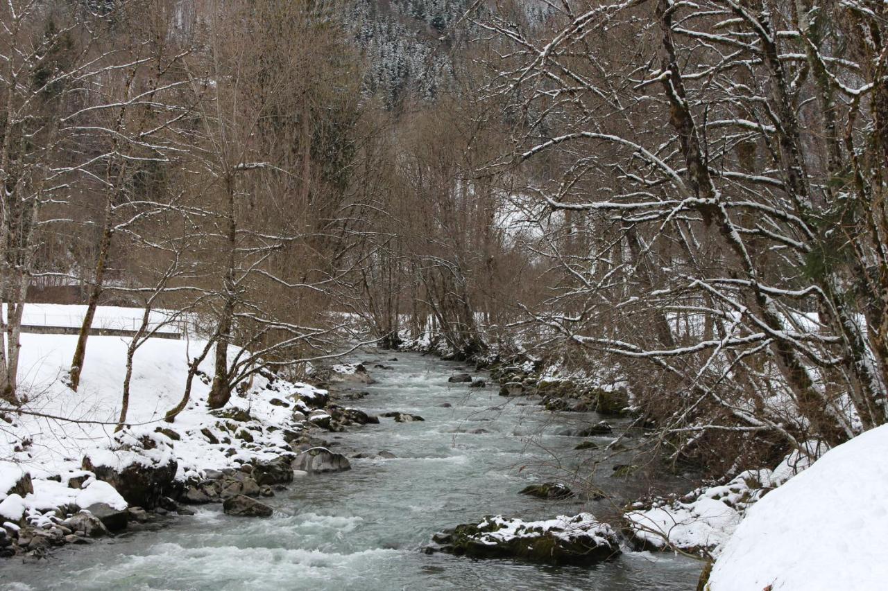 Chalet 8 Personnes + Grand Terrain Et Riviere Entremont Bagian luar foto